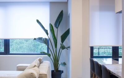 Top NZ Roller Blinds for Every Home: Find The Perfect Style and Functionality For You